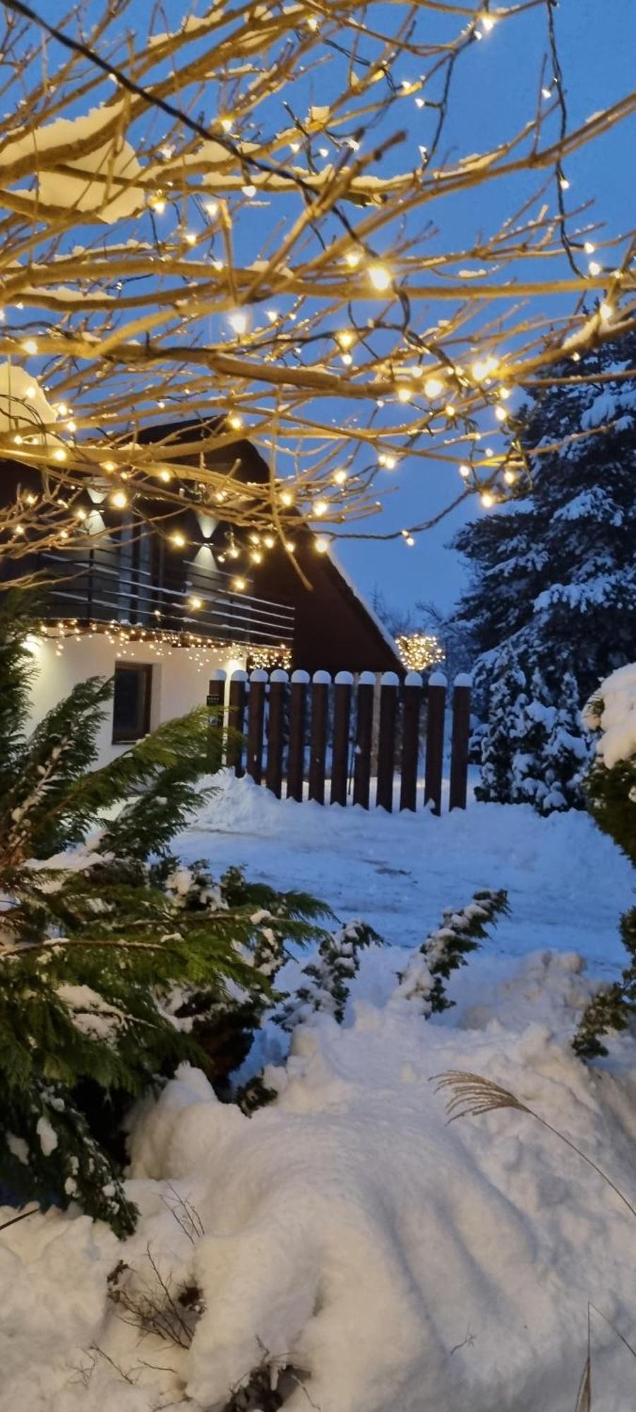 Apartament Willa Pod Sosnami Zator Przeciszow Bagian luar foto